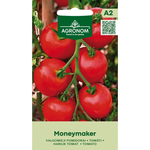 Tomat MONEYMAKER frø