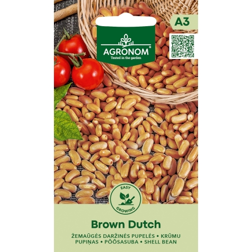 Bønne BROWN DUTCH