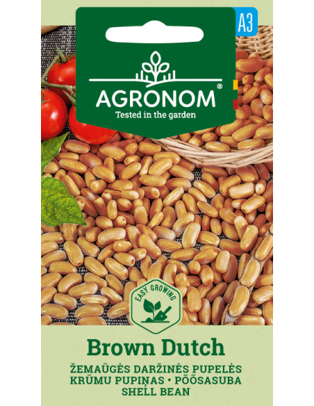 Bønne BROWN DUTCH