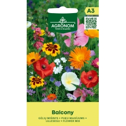 Blomsterblanding frø BALCONY