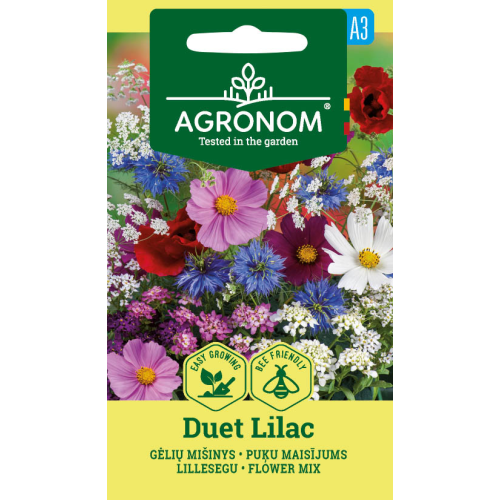 Blomsterblanding DUET LILAC