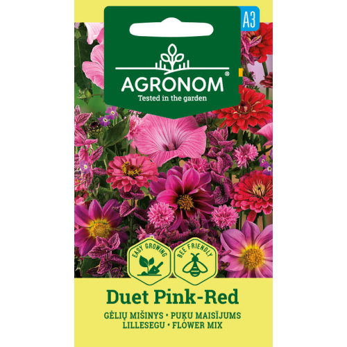 Blomsterblanding DUET PINK-RED