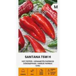 Chilifrø SANTANA TSW H