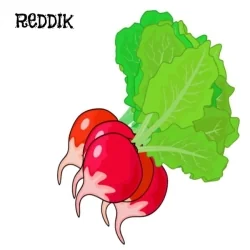 Reddikfrø