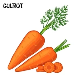 Gulrotfrø