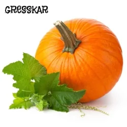 Gresskarfrø