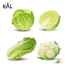 Kålfrø
