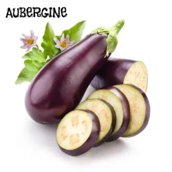 Auberginefrø