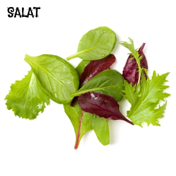 Salatfrø