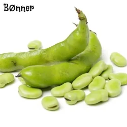 Bønnerfrø