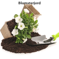 Blomsterjord