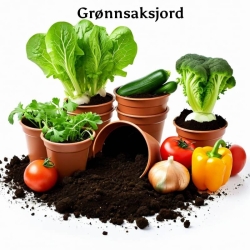 Grønnsaksjord